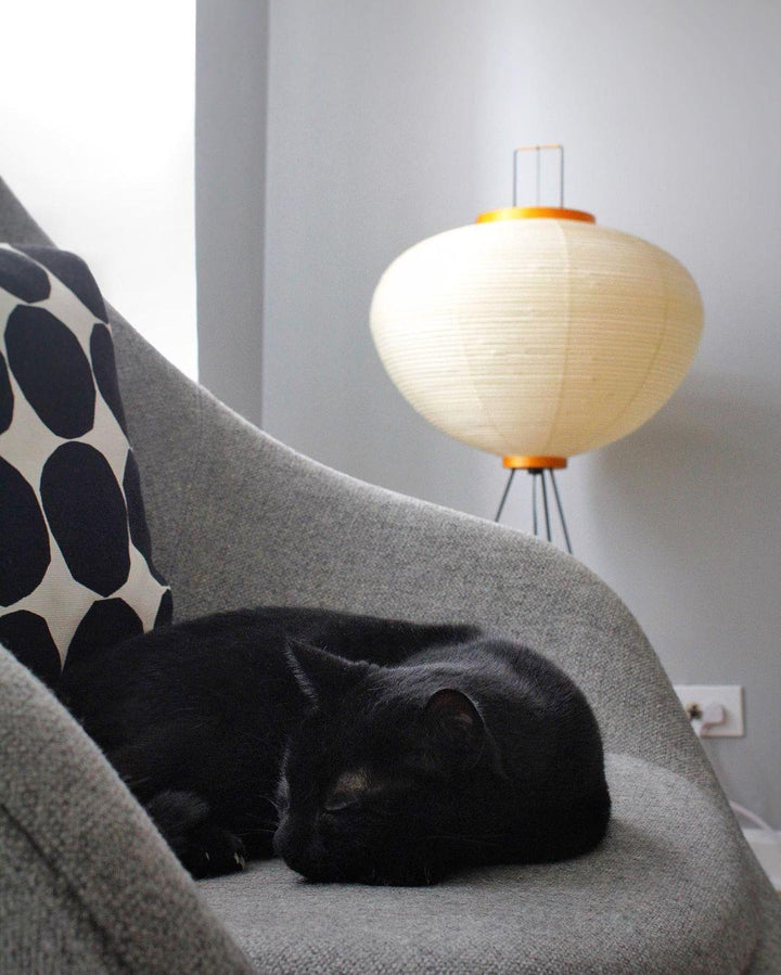 Rice Paper Floor Lamp - Japandi, for Living Room &amp; Reading Nook | Mori