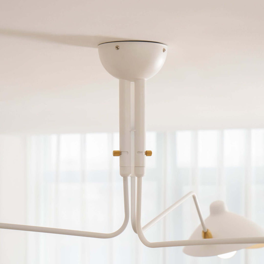 Roel Arm Ceiling Light