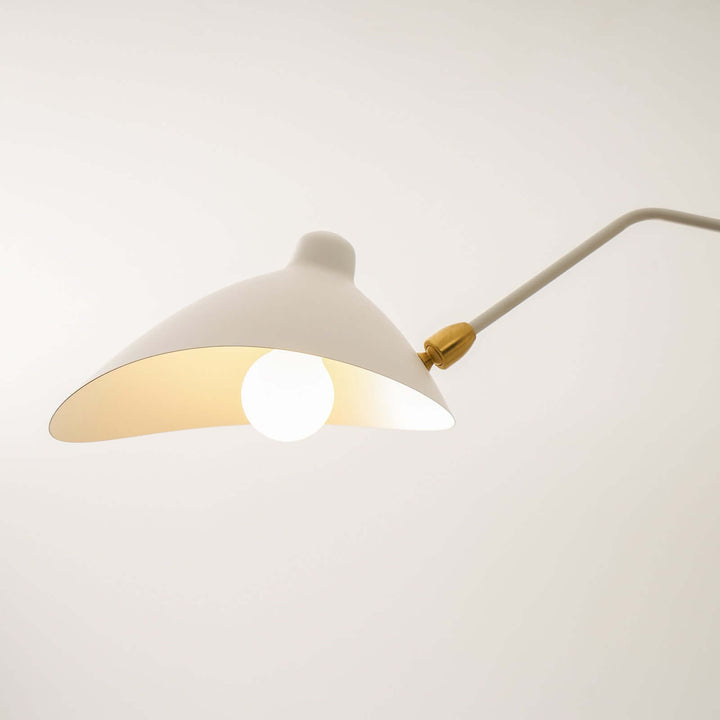 Roel Arm Ceiling Light