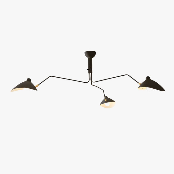 Roel Arm Ceiling Light
