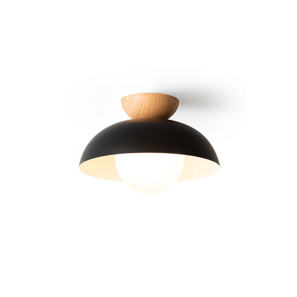 Volo Globe Ceiling Light