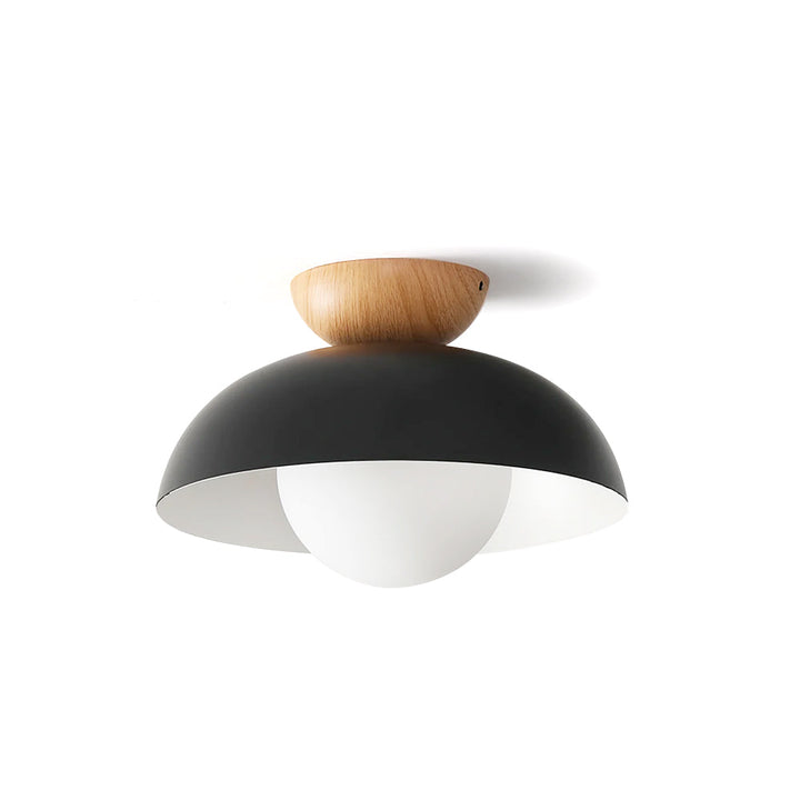 Volo Globe Ceiling Light