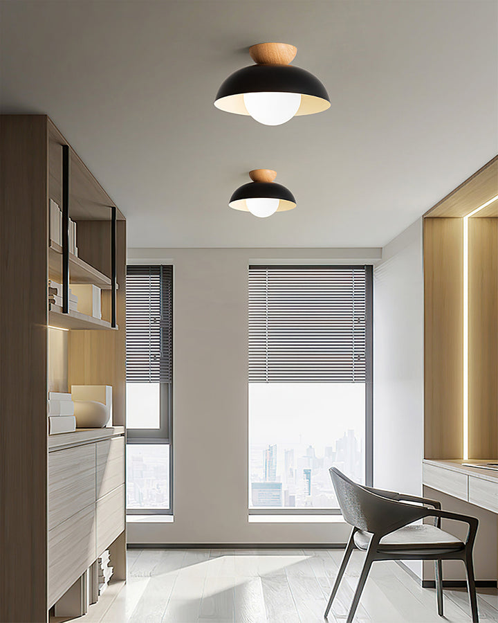 Volo Globe Ceiling Light