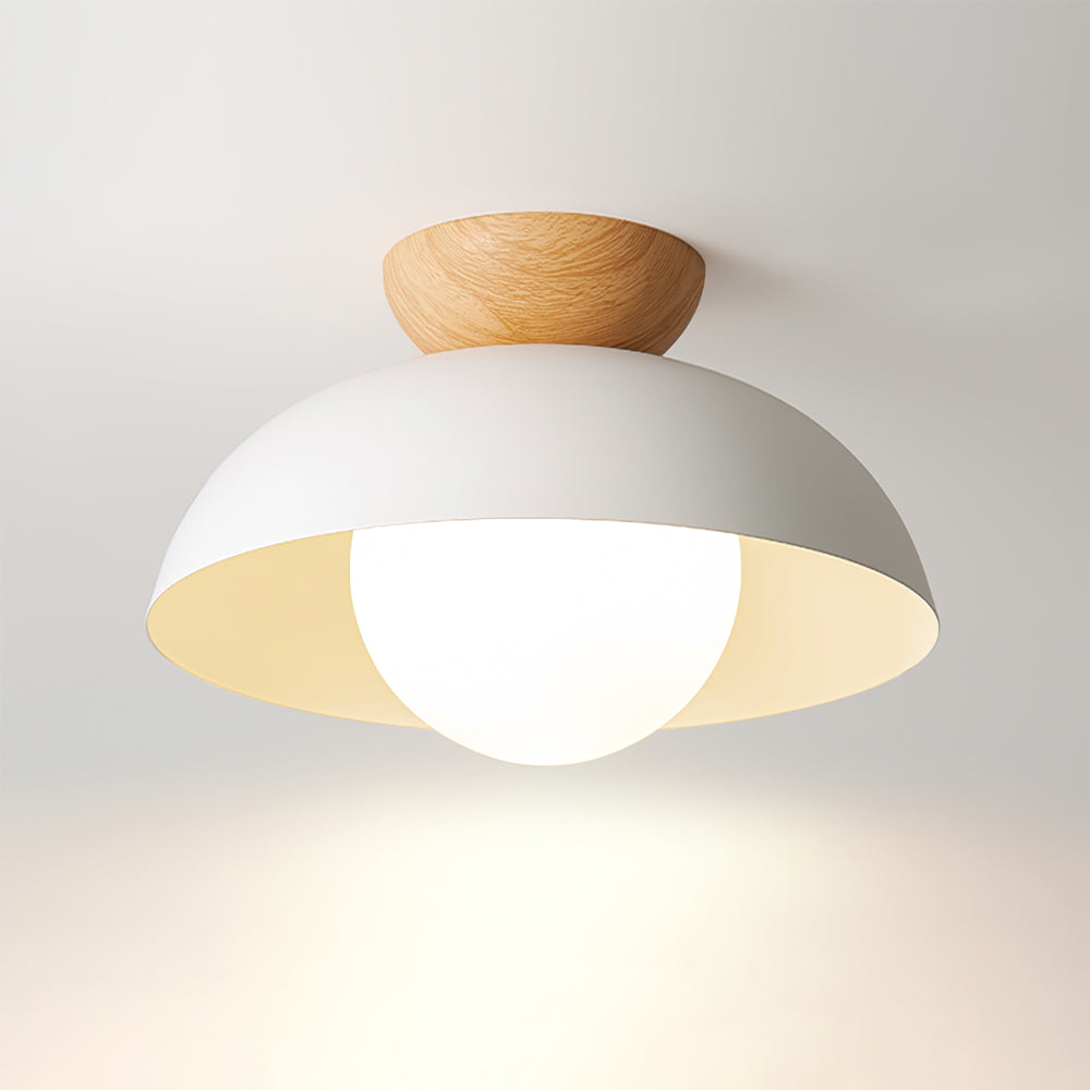 Volo Globe Ceiling Light