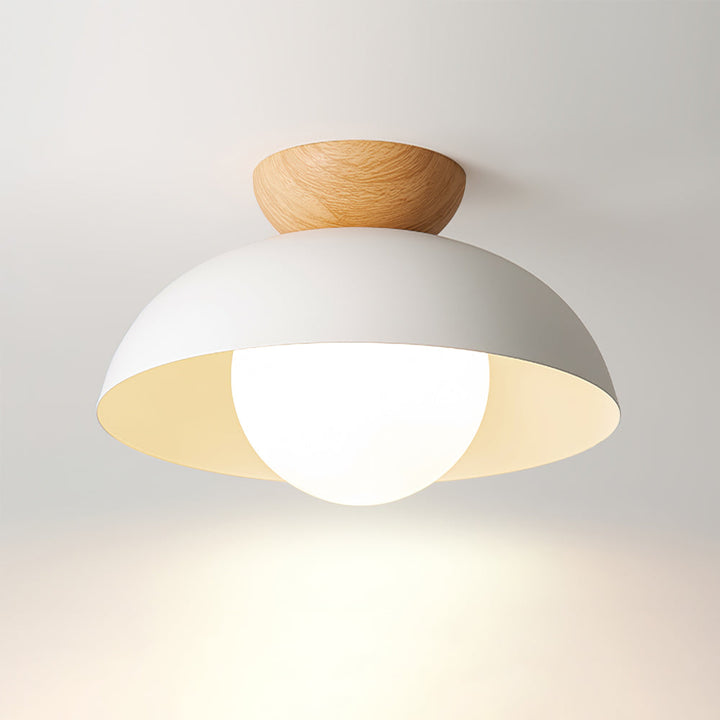 Volo Globe Ceiling Light