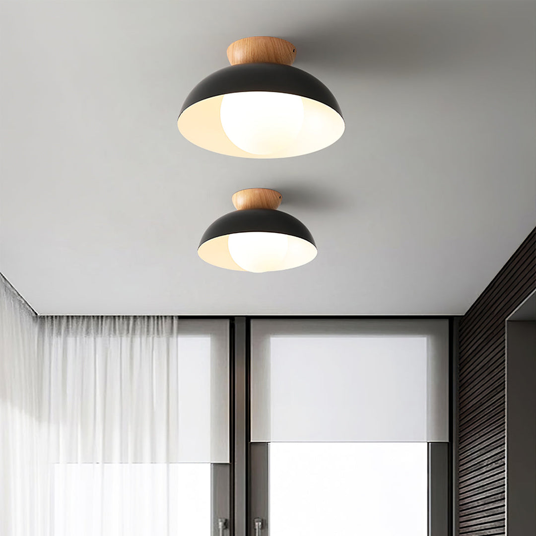 Volo Globe Ceiling Light