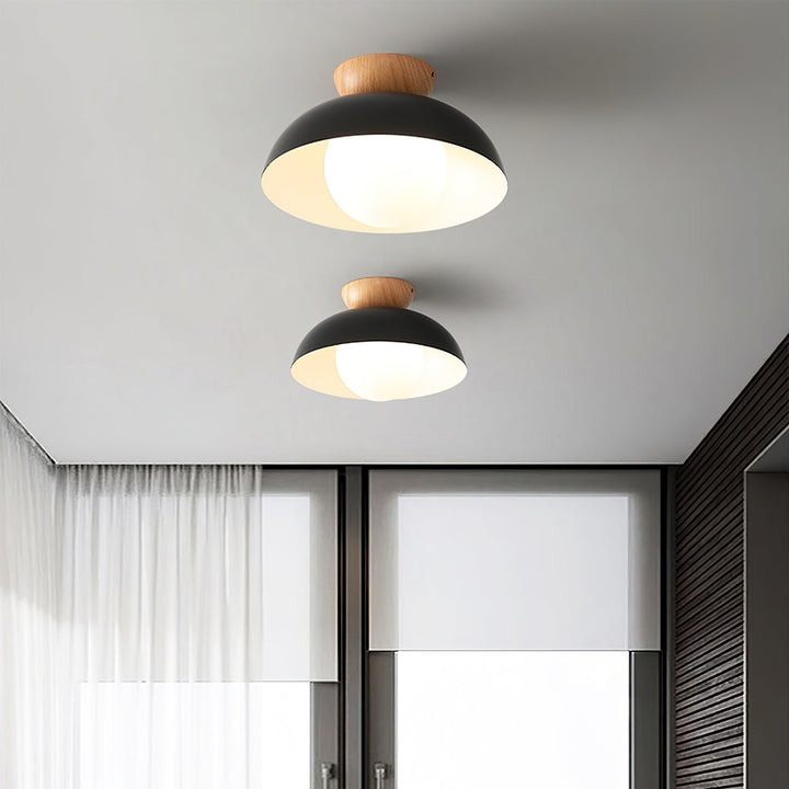 Volo Globe Ceiling Light
