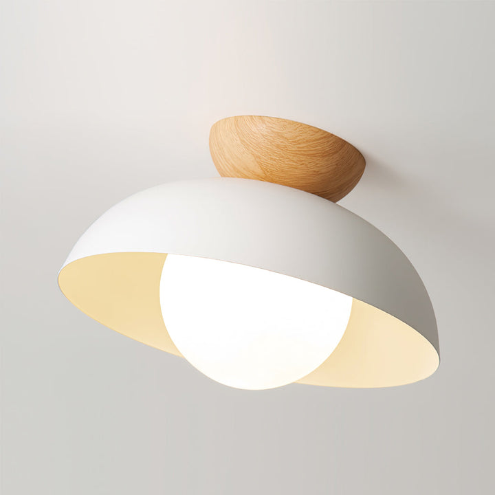 Volo Globe Ceiling Light
