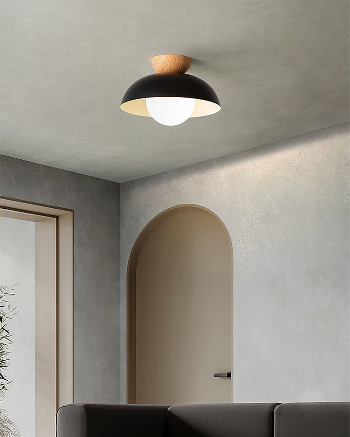 Volo Globe Ceiling Light
