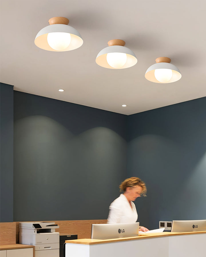 Volo Globe Ceiling Light