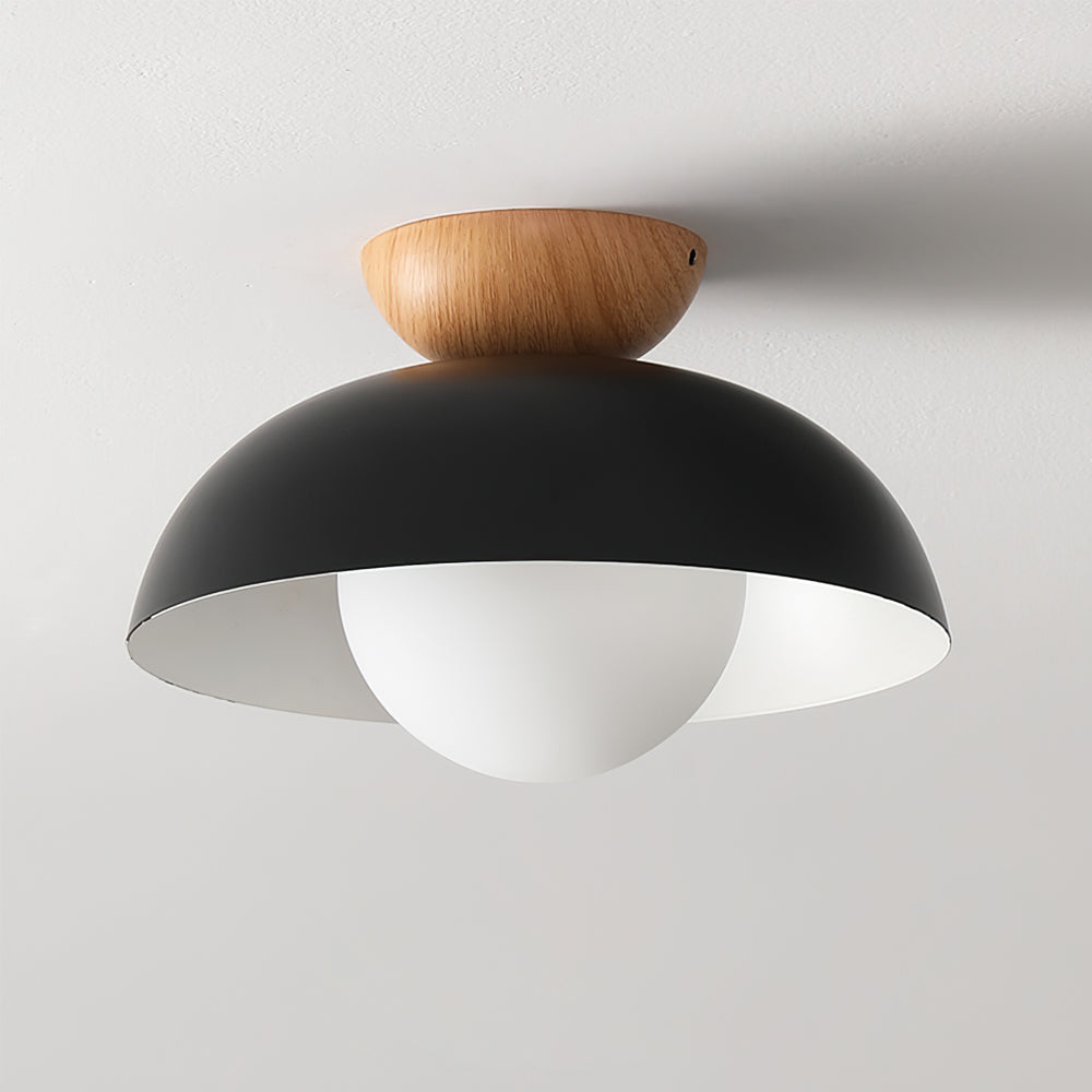 Volo Globe Ceiling Light