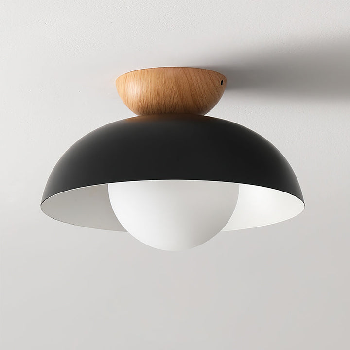 Volo Globe Ceiling Light