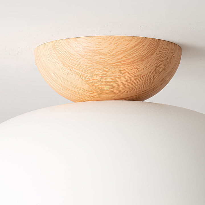Volo Globe Ceiling Light